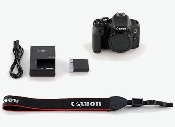 Canon EOS 800D Body