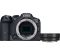 Canon EOS R7 body + Adapter EF-RF