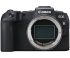 Canon EOS RP + MT ADP EF-EOSR