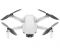 DJI Mavic Mini (CP.MA.00000121.01)