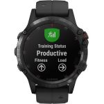Garmin Fenix 5 Plus Sapphire Black with Black Band
