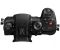 Panasonic Lumix DC-GH5S Body